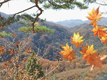 段甲岭镇未来繁荣蓝图，最新发展规划揭秘
